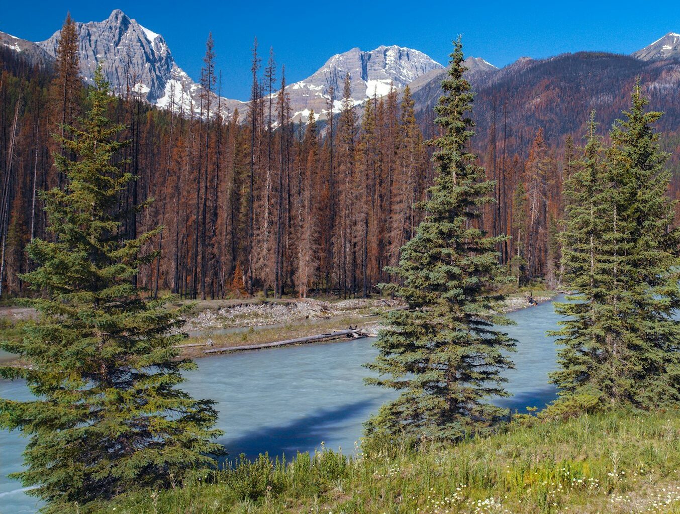 Kootenay National Park - Canada