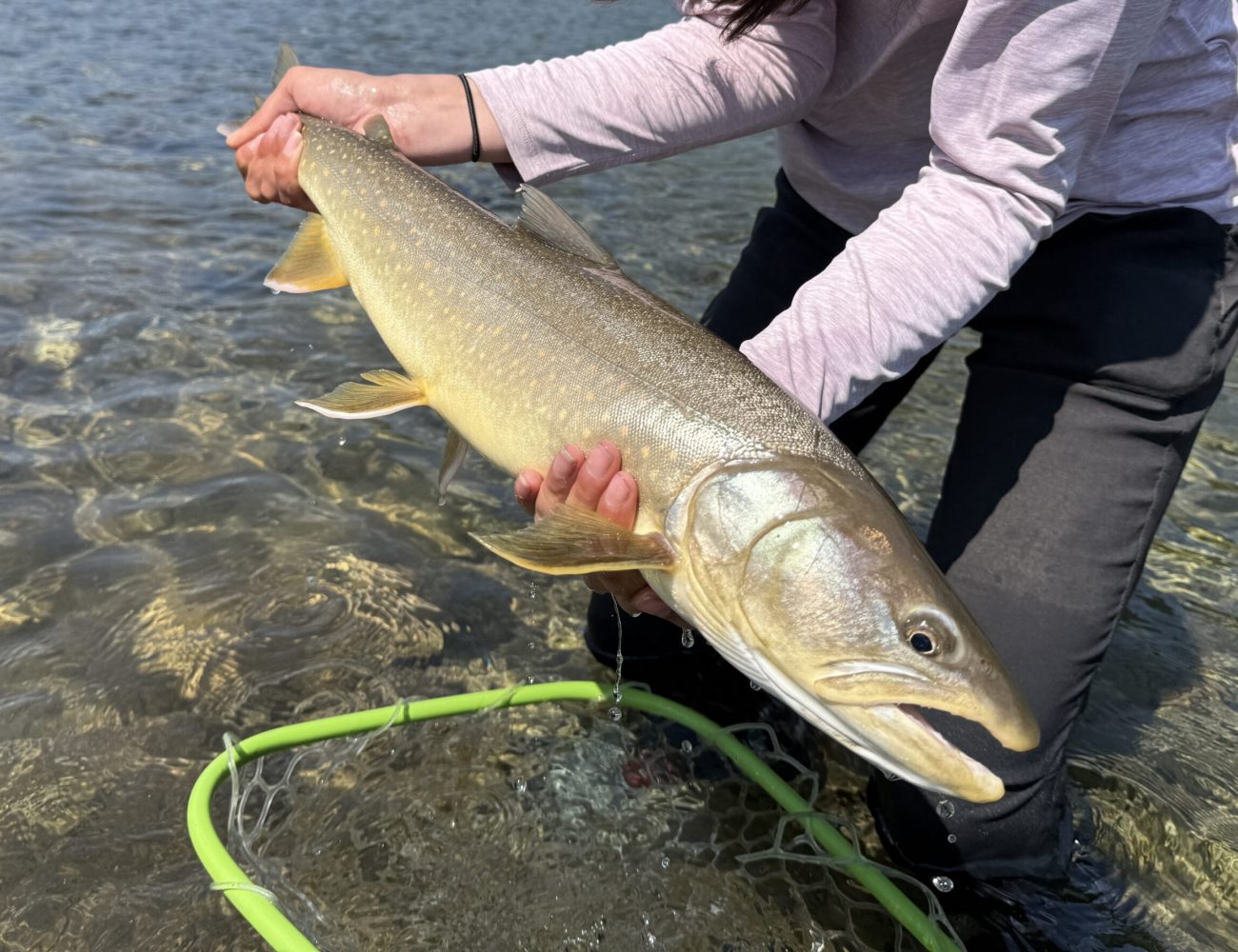 Flathead River Fly Fishing